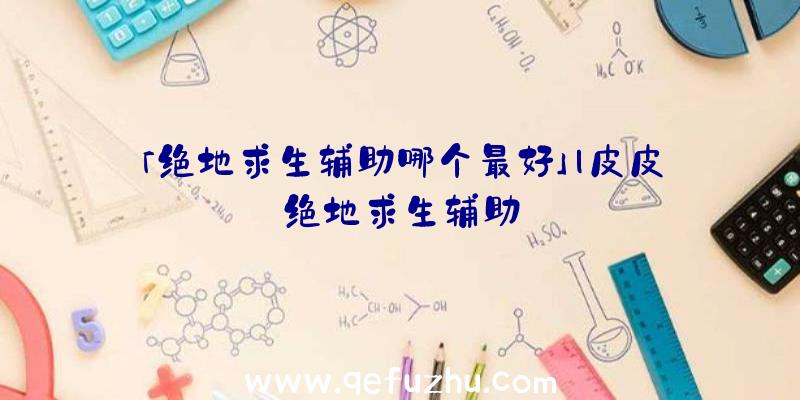 「绝地求生辅助哪个最好」|皮皮绝地求生辅助